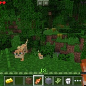 لعبة Minecraft – Pocket Edition الشهيرة للاندرويد نسخة معدلة