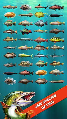 تحميل لعبة صيد السمك الرائعة Let’s Fish: Sport Fishing Games للاندرويد كاملة