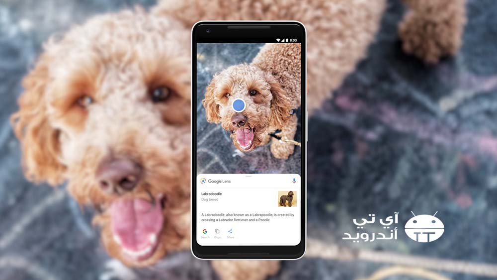 تطبيق Google Lens مناسب للمستخدمين المبتدئين