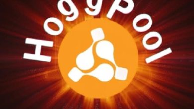 كيفية الربح من هوج بول Hoggpool